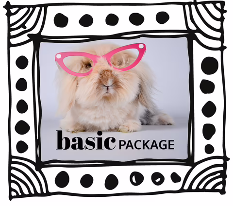 Grafik für Basic Package Social Media Leistungen