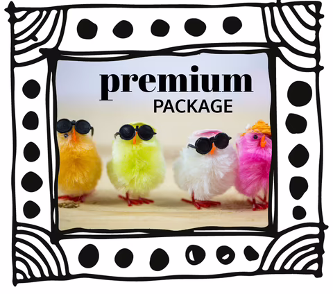 Grafik Social Media Leistungen Premium Package